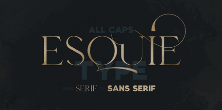 Esquie Type Poster